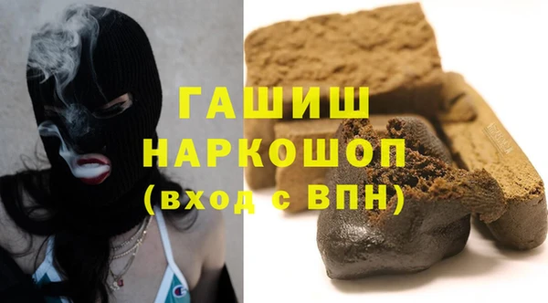 индика Горняк