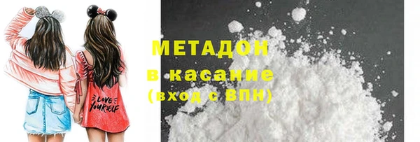 индика Горняк