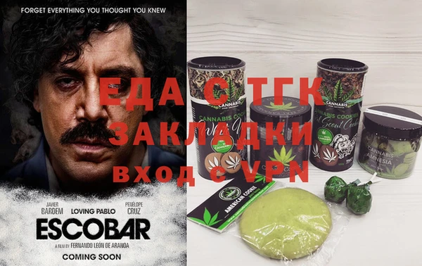 индика Горняк