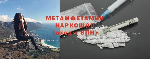 индика Горняк