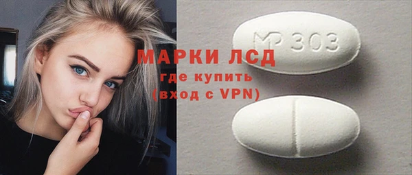индика Горняк