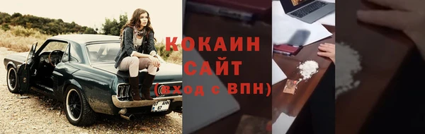 индика Горняк