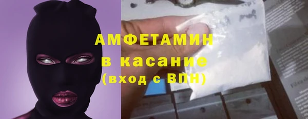 индика Горняк