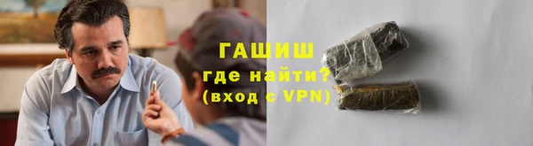 индика Горняк