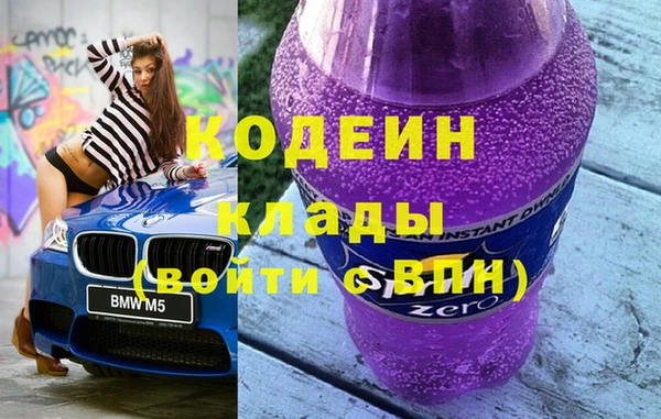 индика Горняк