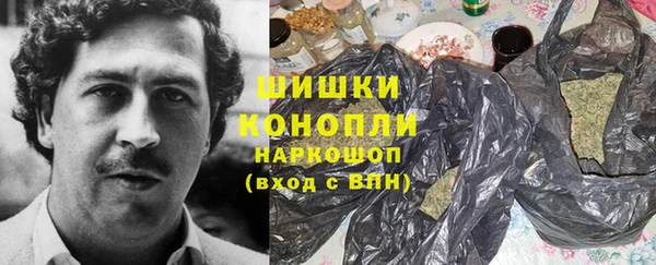 индика Горняк