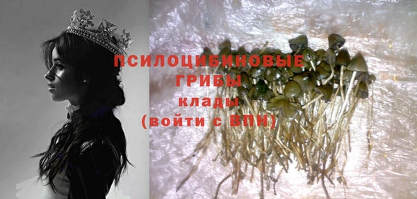 герыч Горнозаводск
