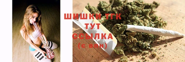 сатива Строитель