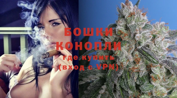индика Горняк